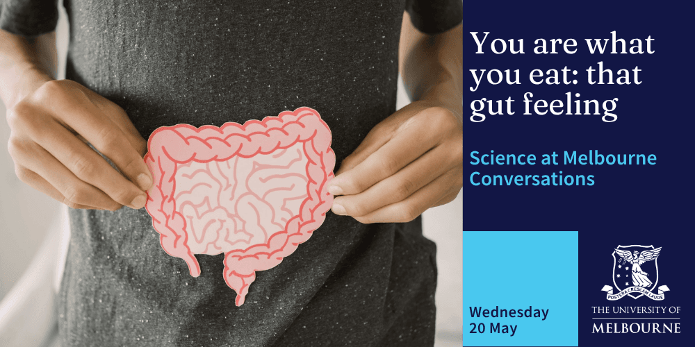 You are what you eat: that gut feeling