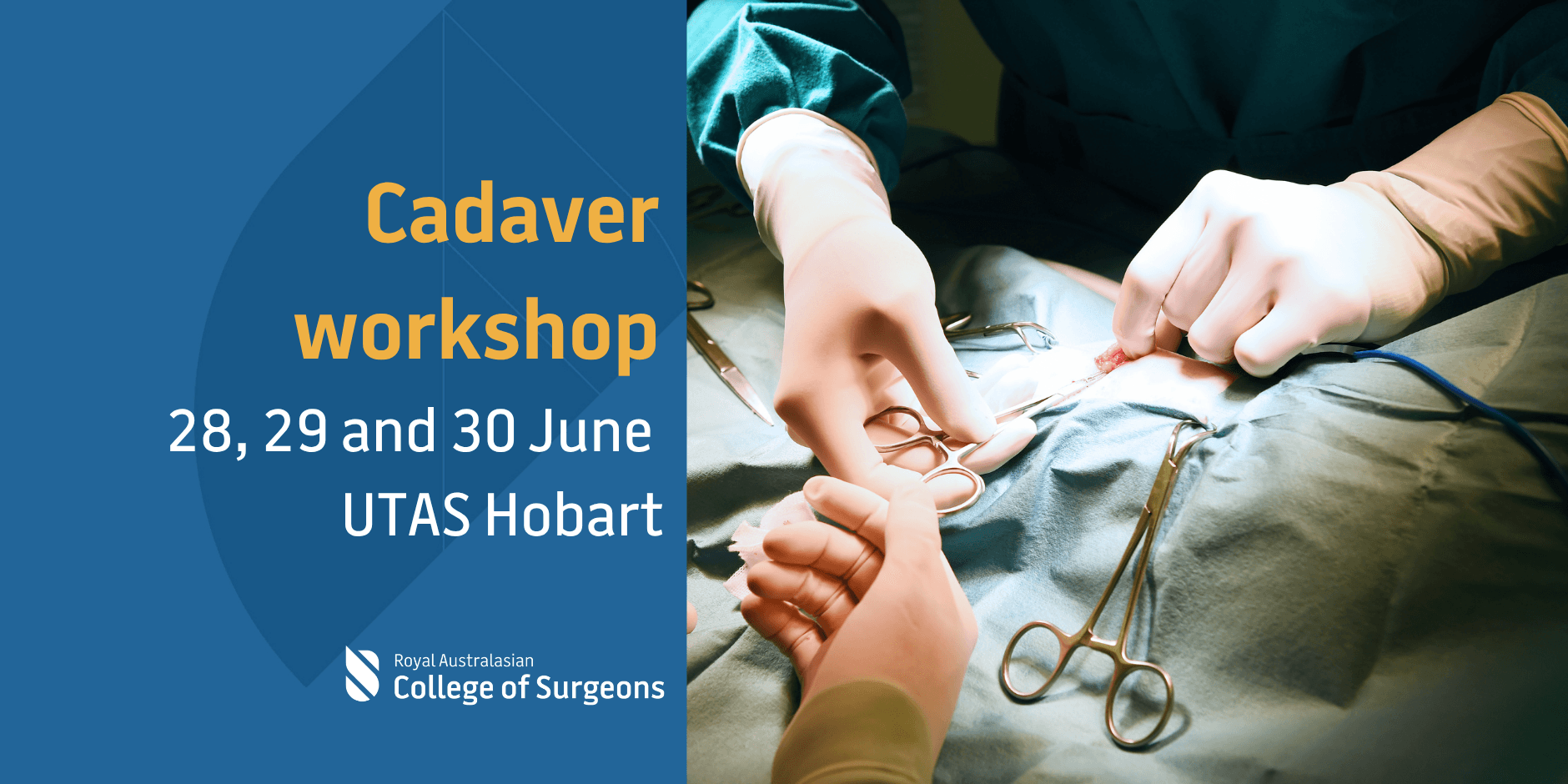 Cadaver Workshop 2026