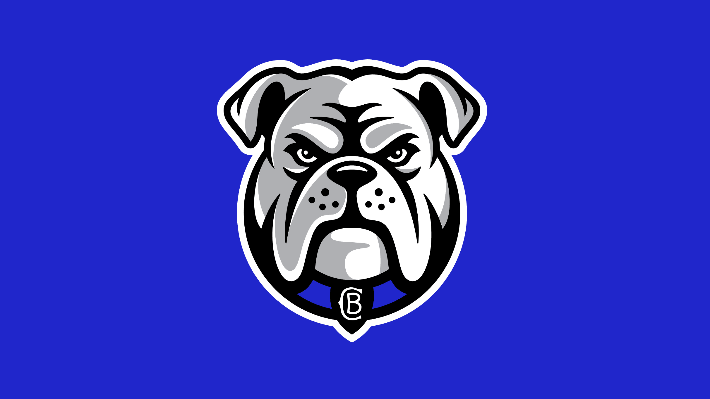2026 NRL Telstra Premiership Bulldogs v Storm (Round 12)