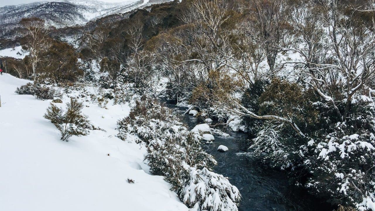 Midwinter Madness/Solstice Supper