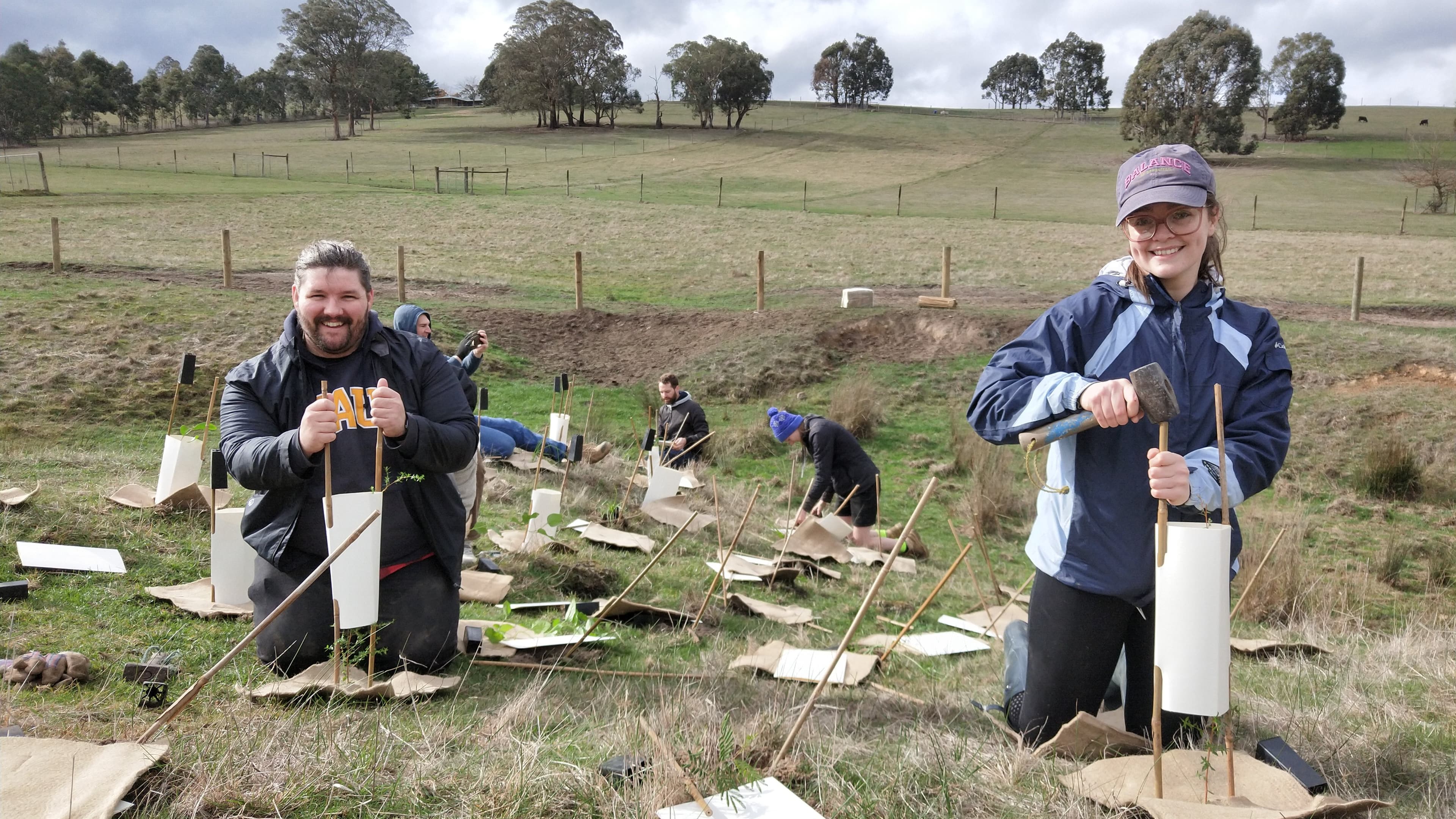 Help plant native trees in the Yarra Valley!