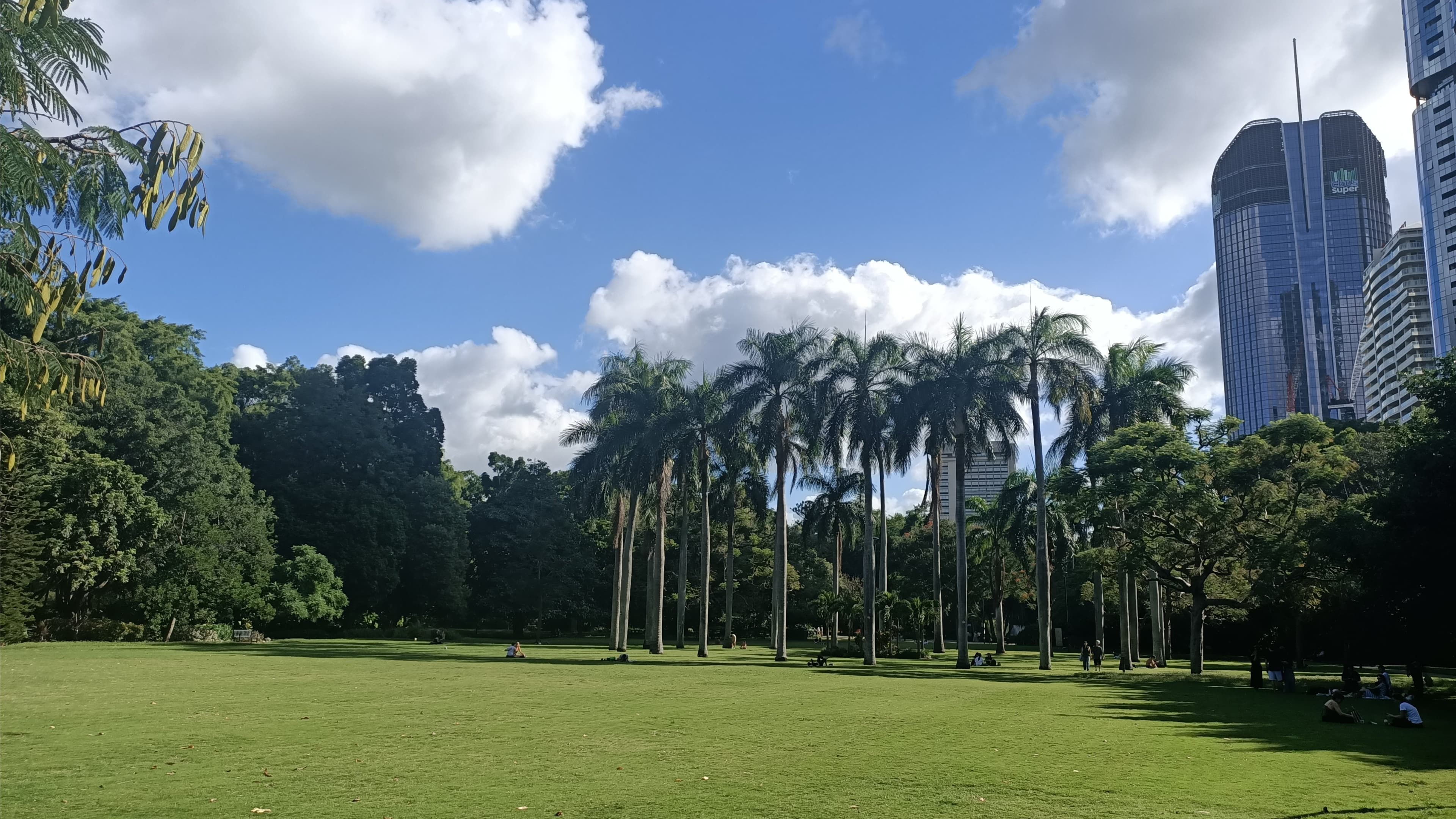 Casual Stroll @ Brisbane Botanical Gardens + Chat!