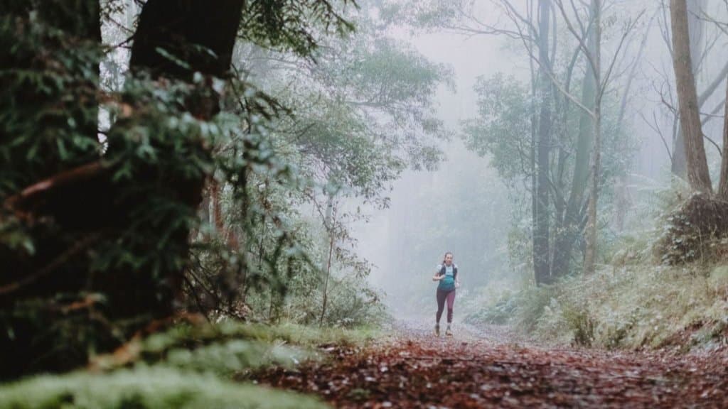 Hemphill Track, Sanatorium Lake, Camels Hump, Mount Macedon Loop