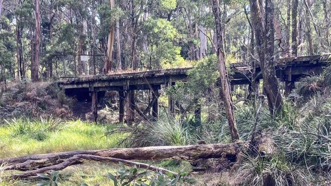 Domino Rail Trail from Trentham to Lyonville return