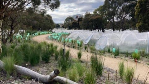 Explore Chain of Ponds at Elsternwick Park then coffee at Little Ox