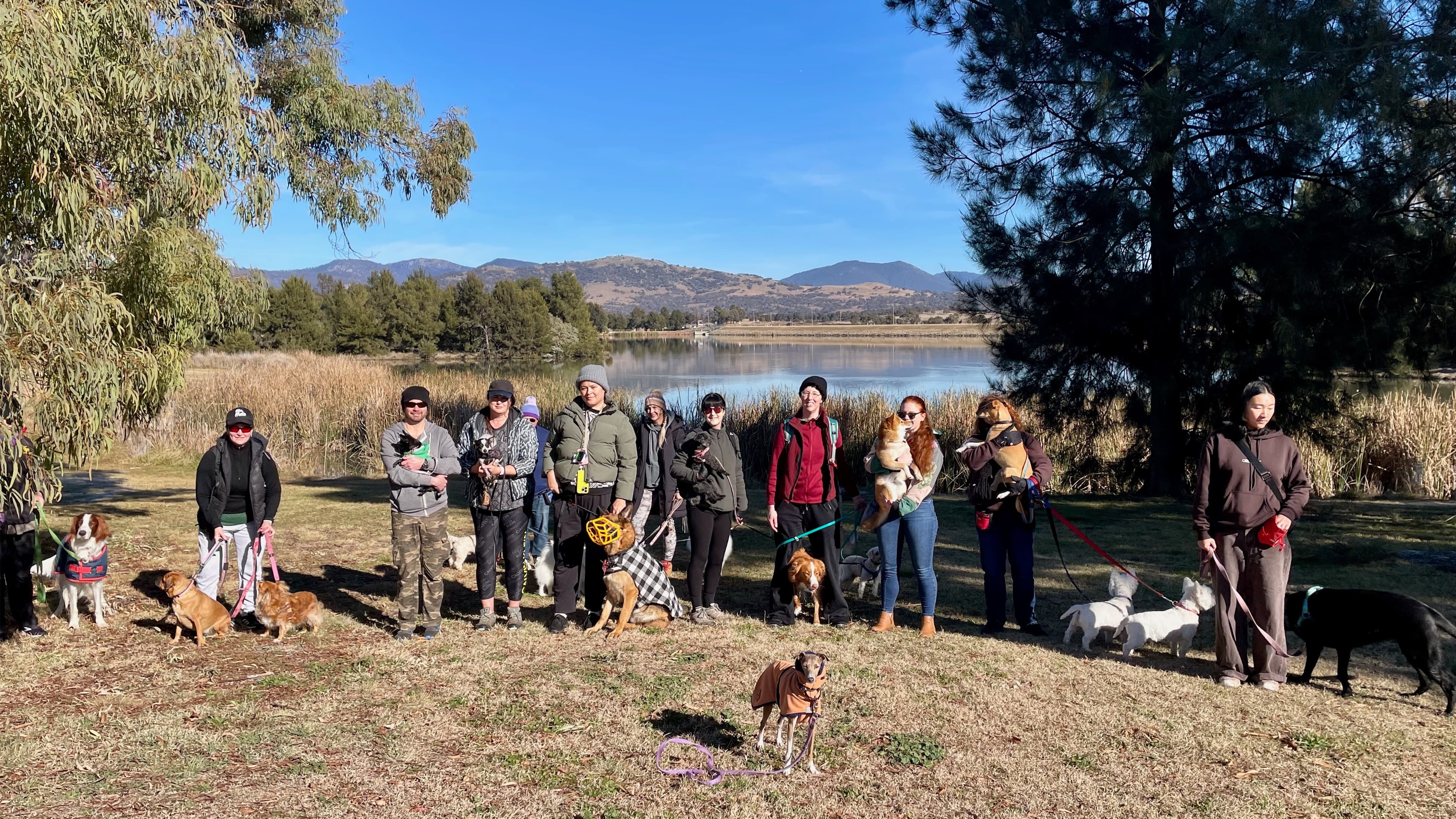 Wednesday Conder/Gordon walk - off leash ovals and mountain views