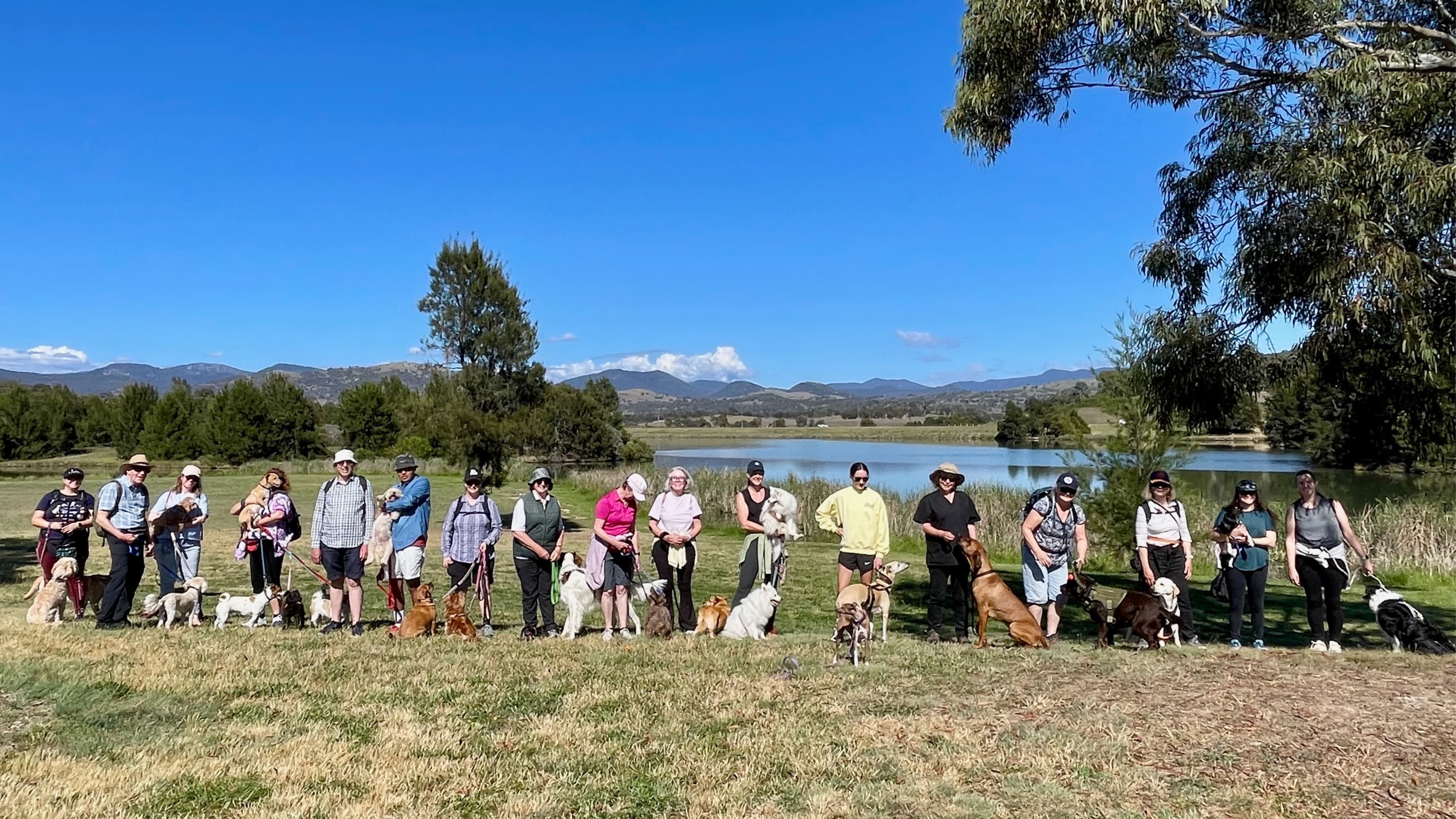 Saturday Conder/Gordon walk - off leash ovals and mountain views