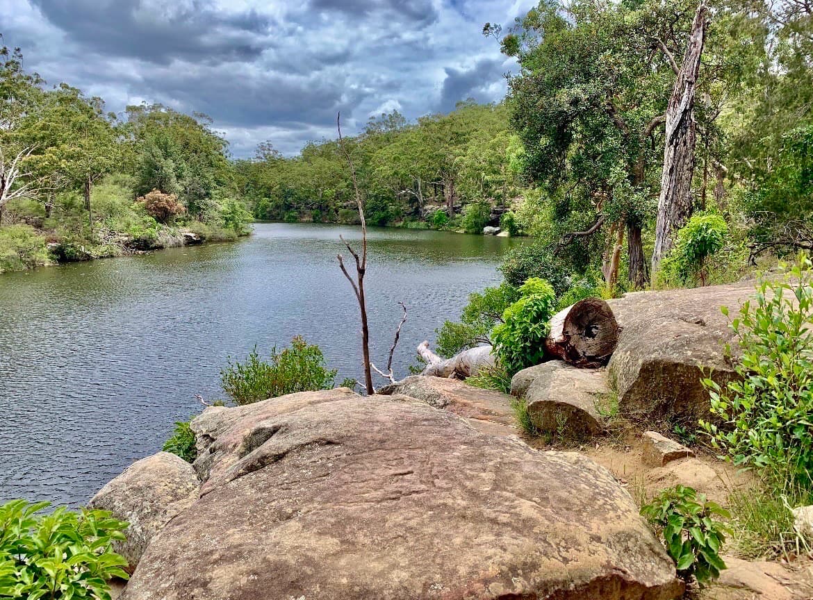 Parramatta River Walk & Lake Parramatta Circuit 🌲🚶🏼‍♀️🦆🧺 🚣🏼‍♂️ 🏊🏼‍♂️