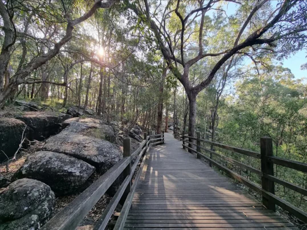 Toohey Forest Hike