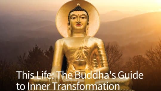 This Life – The Buddha’s guide to inner transformation