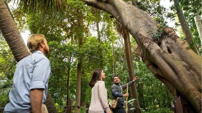 Philosopher's Walk - Royal Botanic Gardens