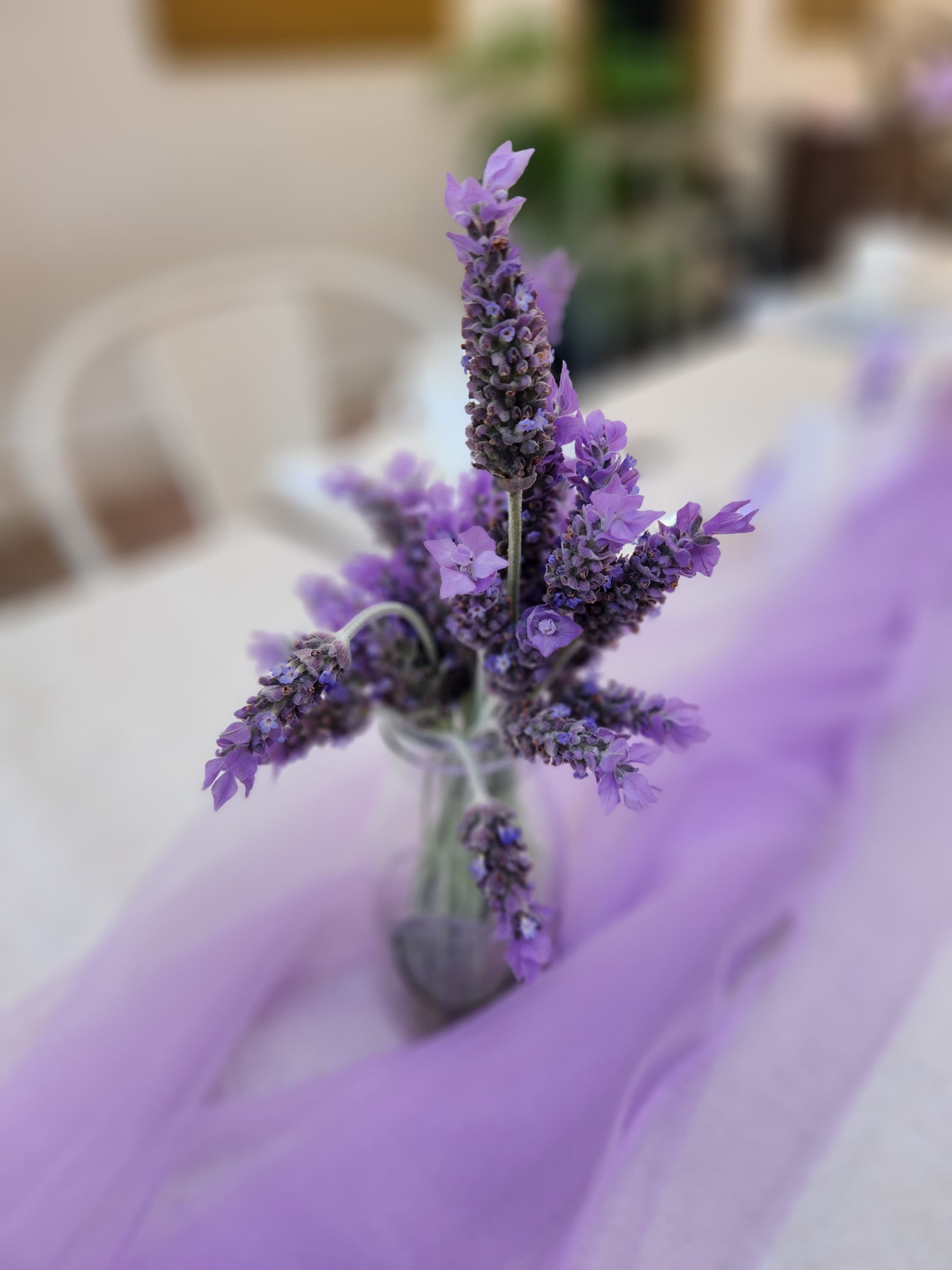 Mothers Day High Tea 9th and 10th May 2026
