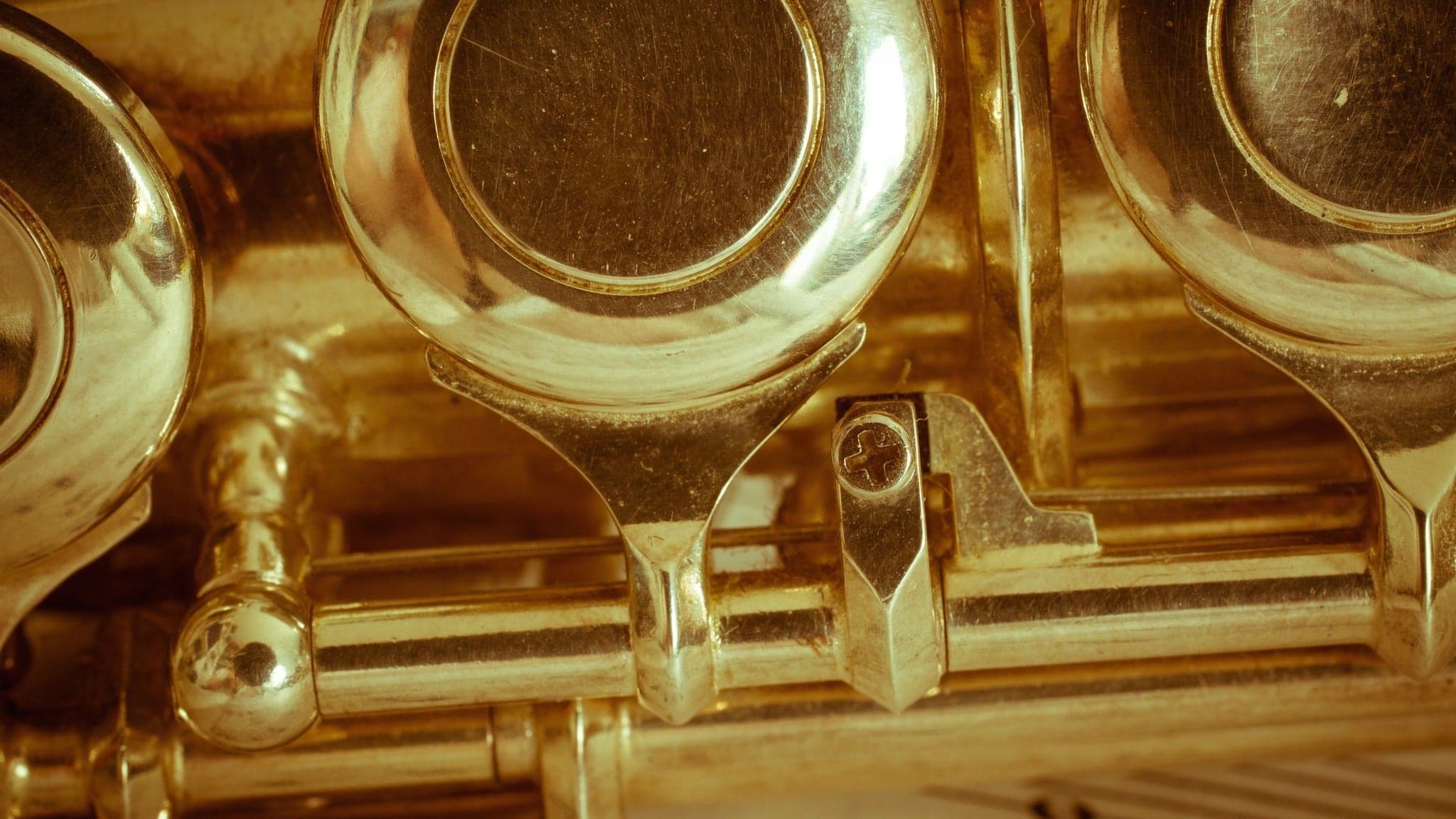 Bullhorn