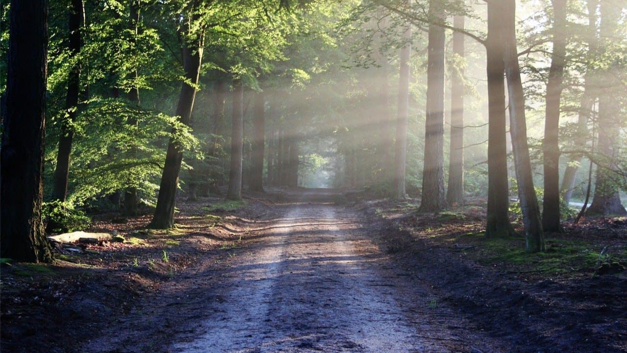 Belonging & Uniqueness-Strong Pillars of Self Esteem-Weds13thPerth8:30am