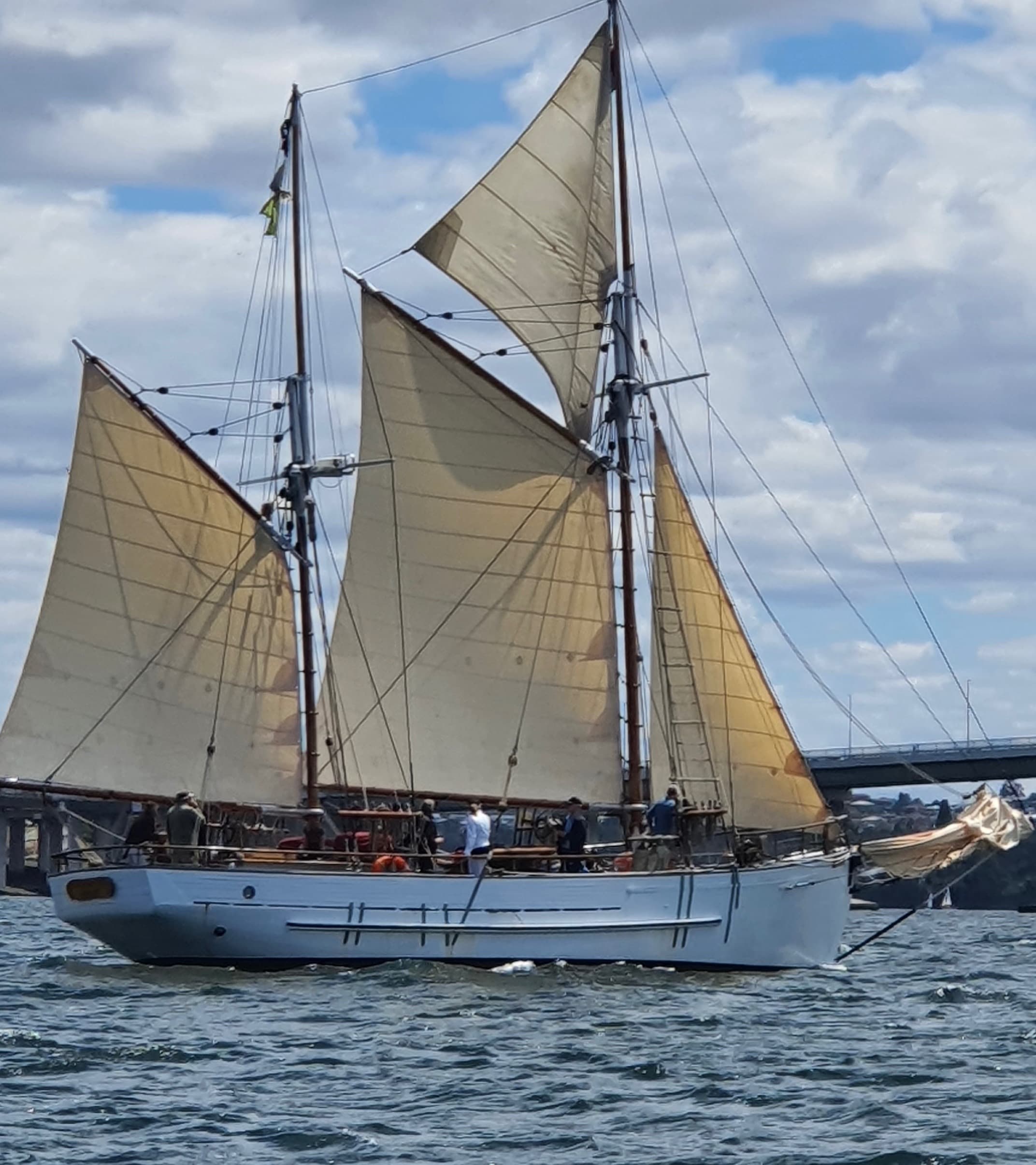 SV Rhona H Short Sail - Harbour Cruise